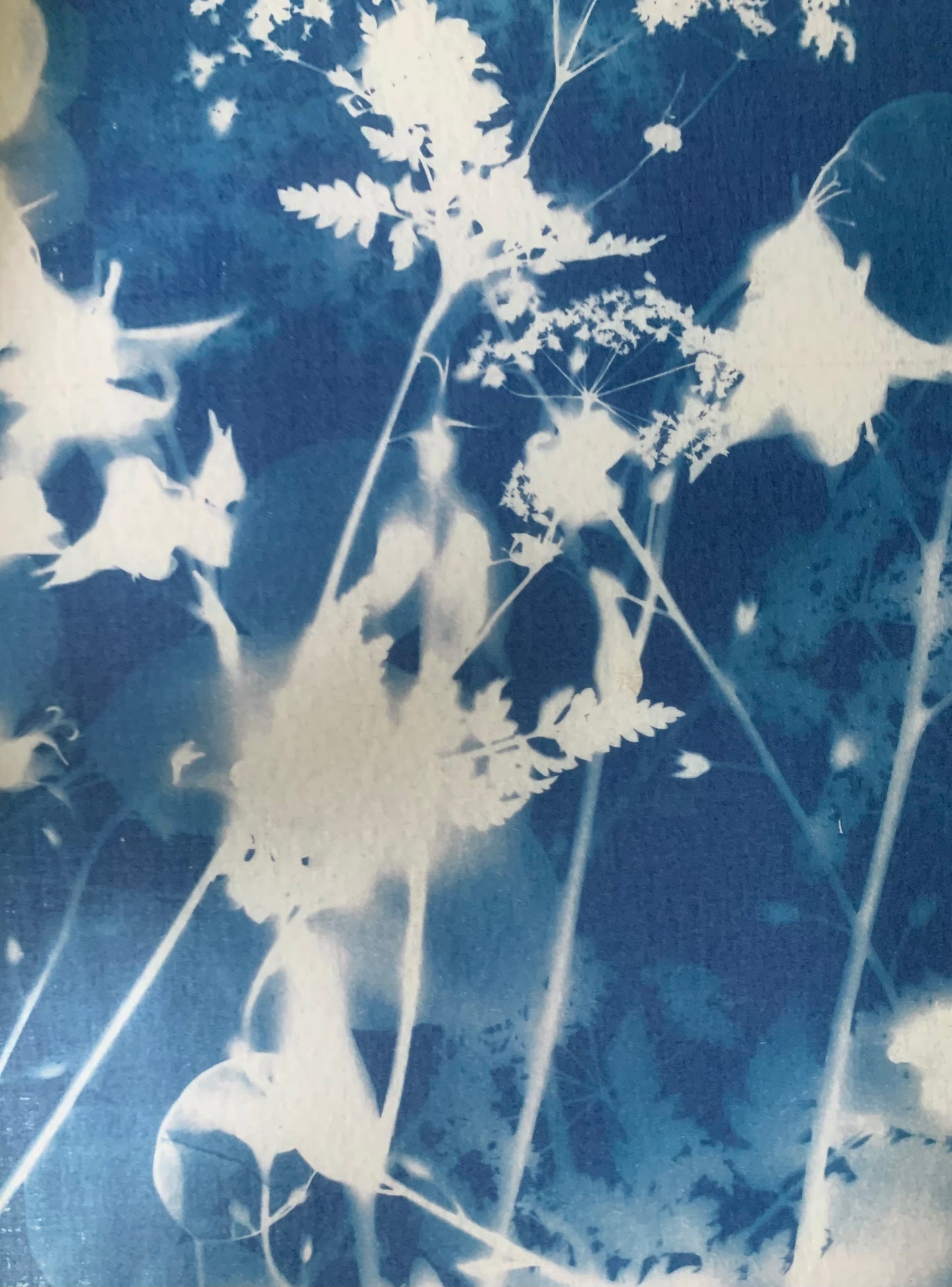 All the Flowers - Cyanotype - Gift Wrap