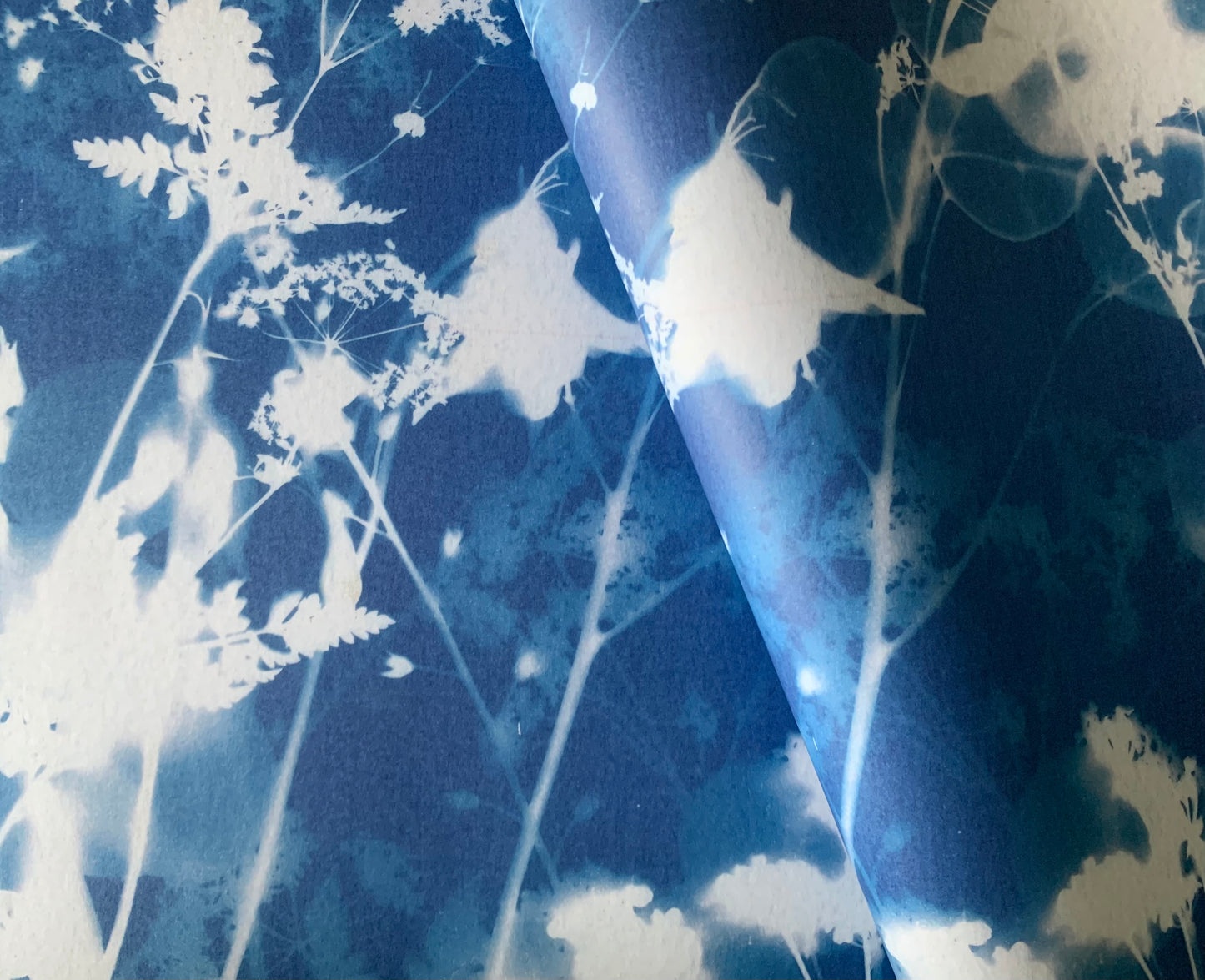 All the Flowers - Cyanotype - Gift Wrap