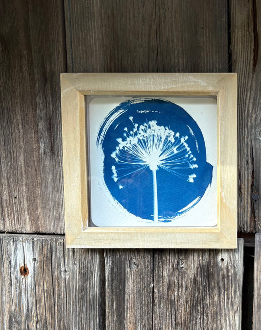 Allium round - wood washed square glass box frame