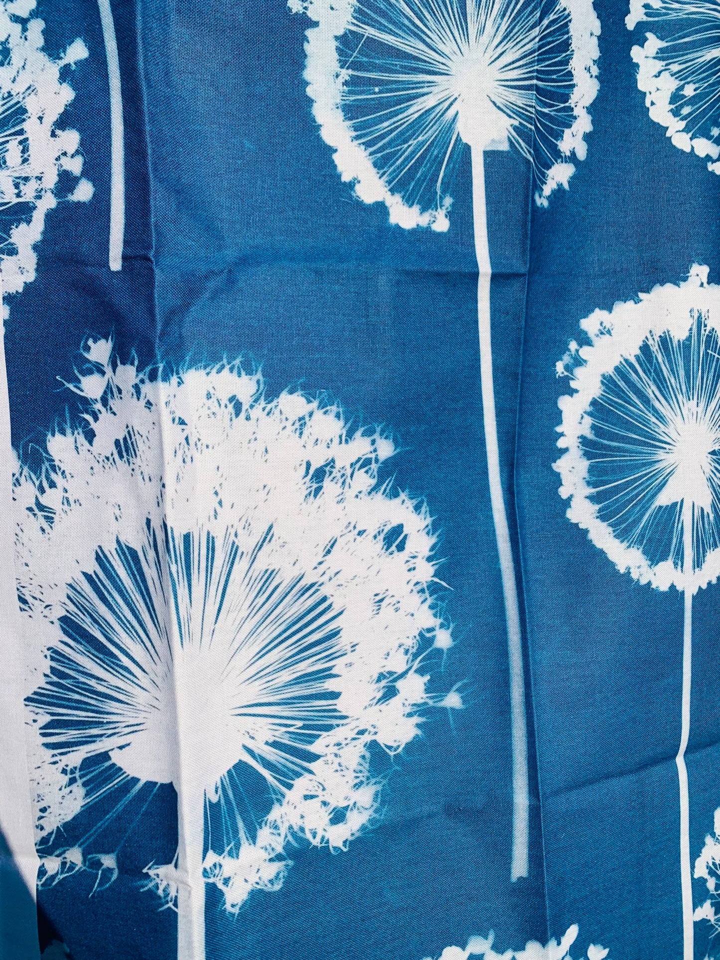 Allium Wallpaper - Cyanotype - Tea Towel