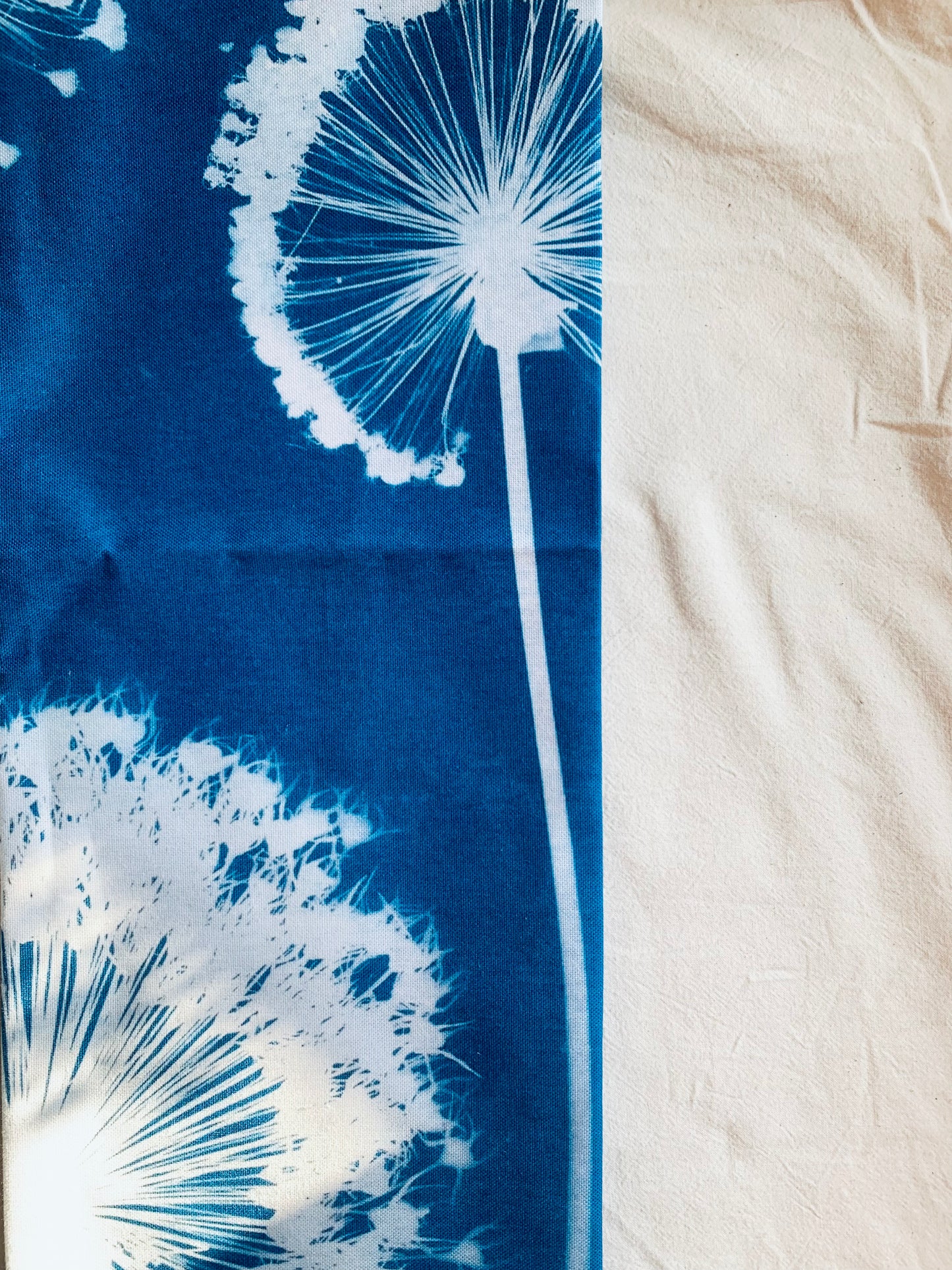 Allium Wallpaper - Cyanotype - Tea Towel