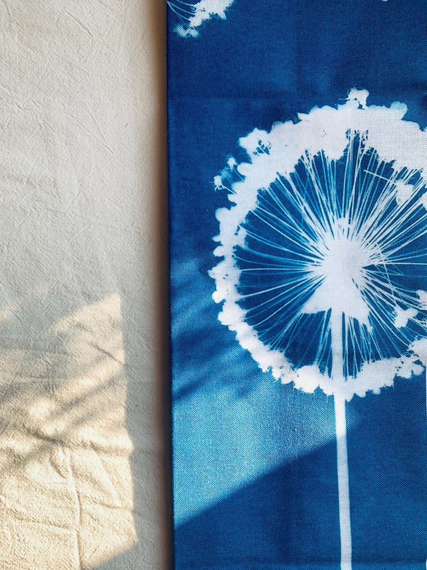 Allium Wallpaper - Cyanotype - Tea Towel