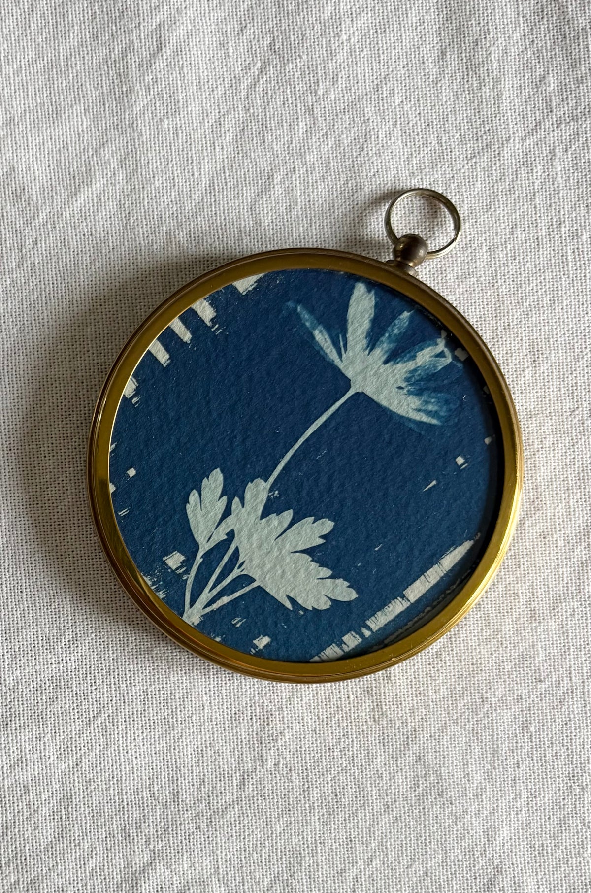 Anemone - Brass Framed Circle Cyanotype - 7.5cm Diameter