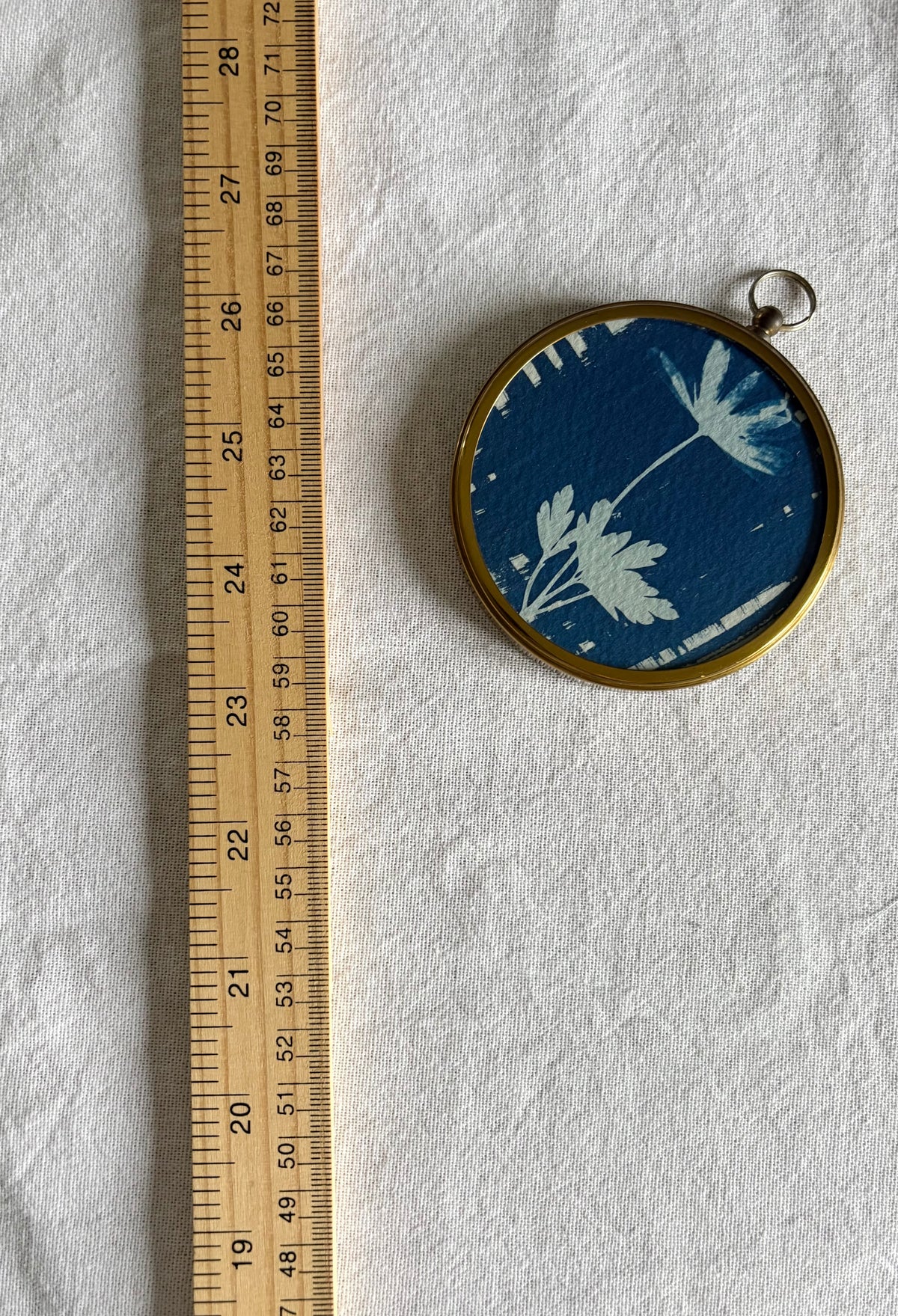 Anemone - Brass Framed Circle Cyanotype - 7.5cm Diameter
