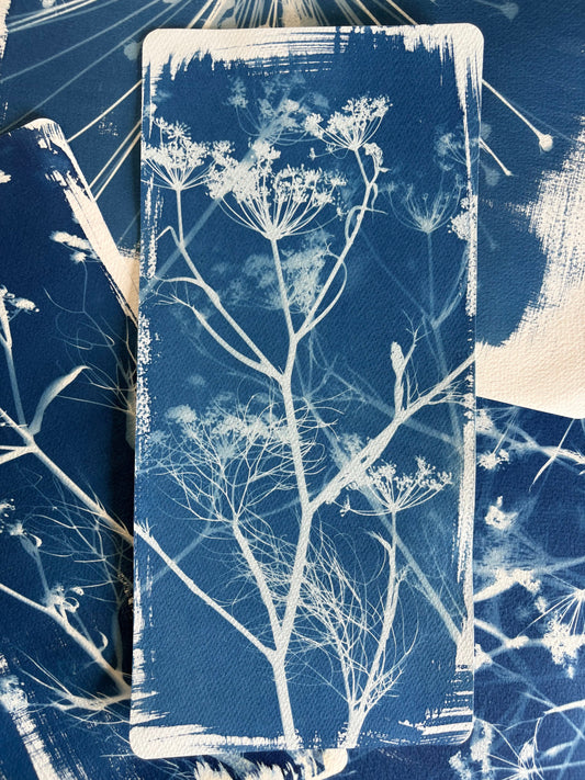 Blue Fennel  18x38cm