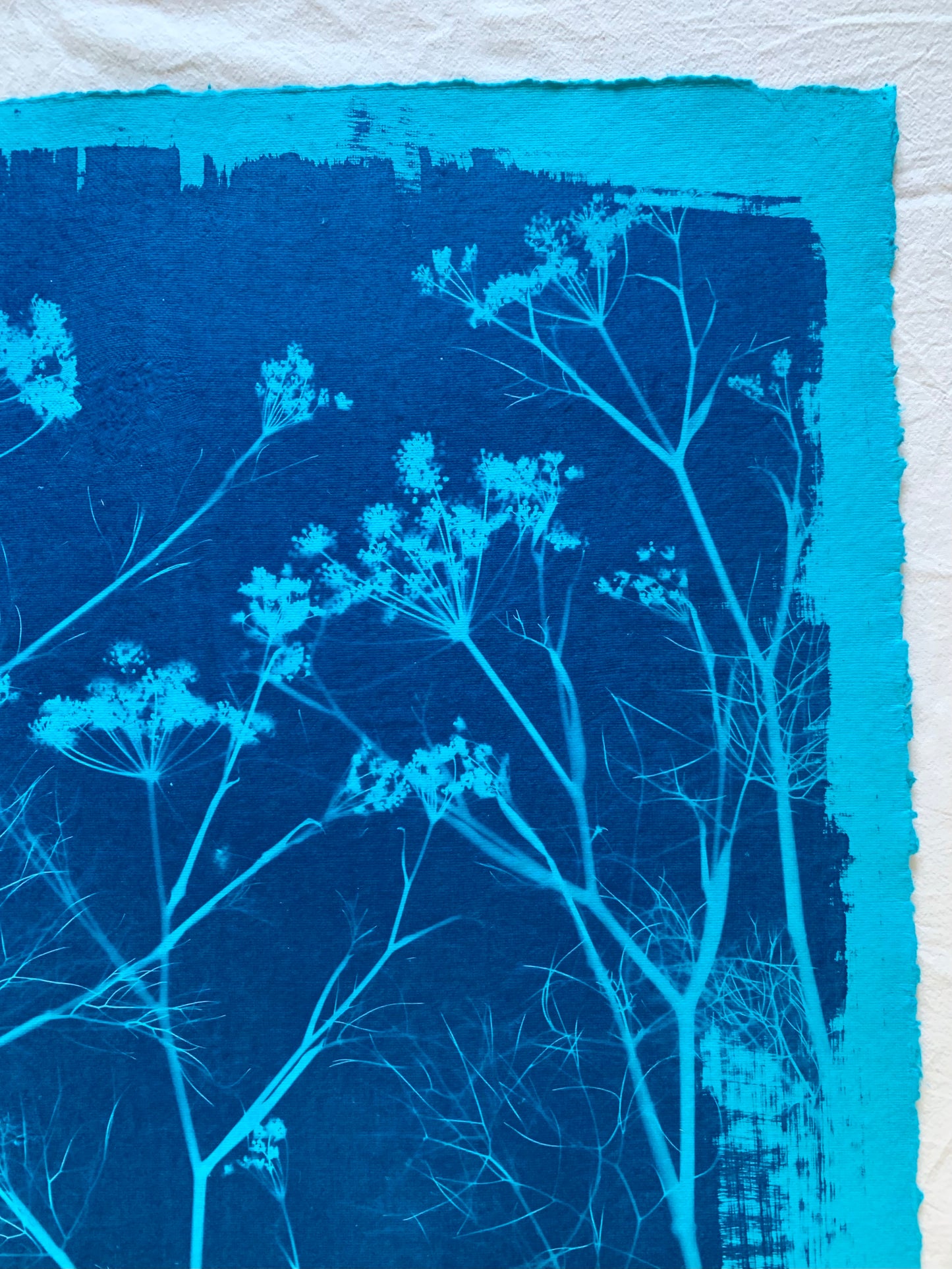 Bright Blue Fennel (40x52cm) Original Print