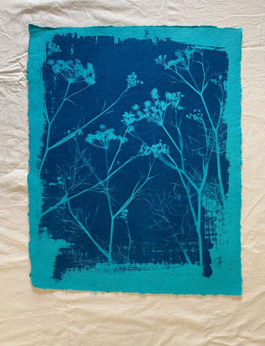 Bright Blue Fennel (40x52cm) Original Print