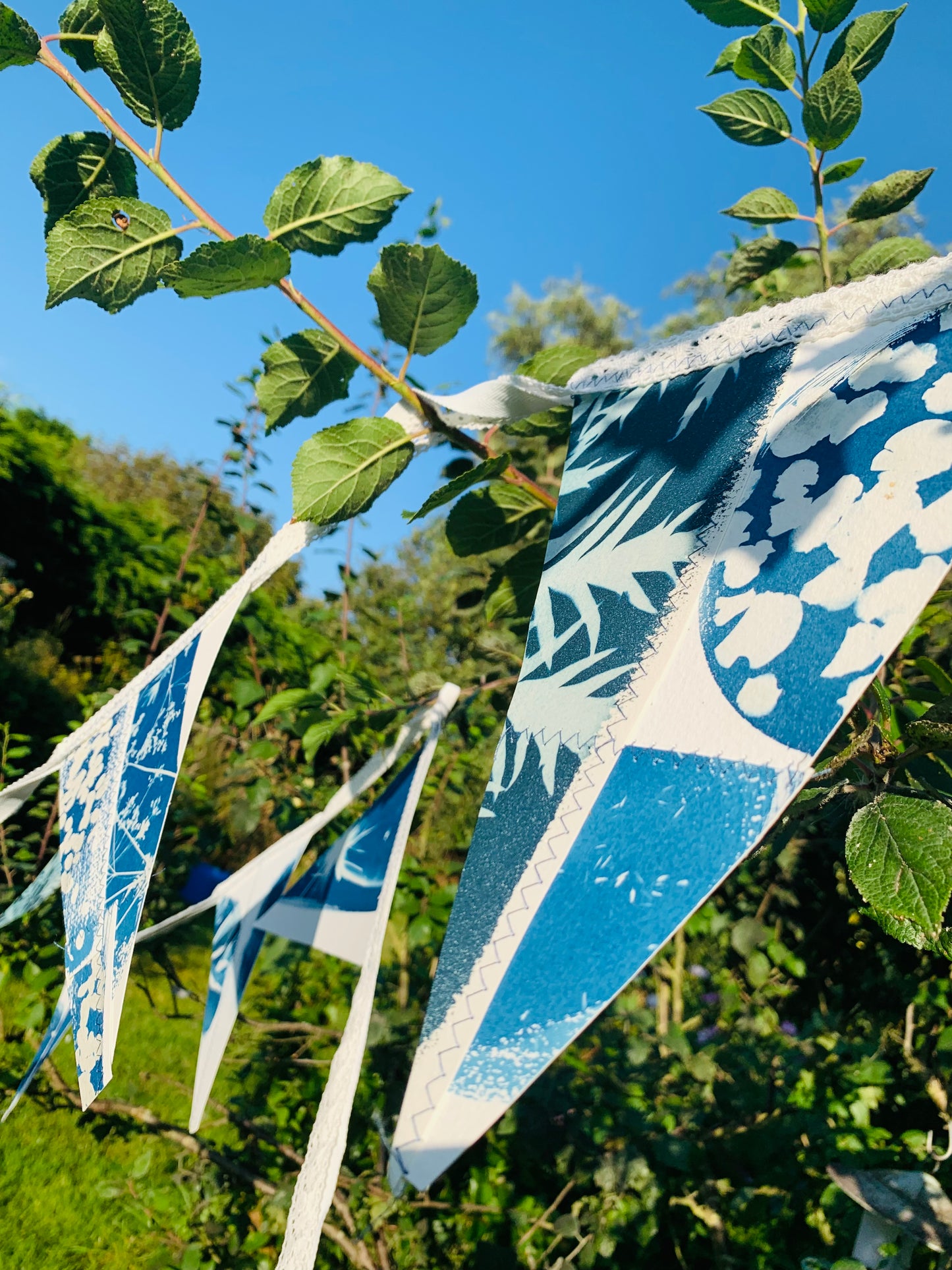 Cyanotype Bunting - Set 2