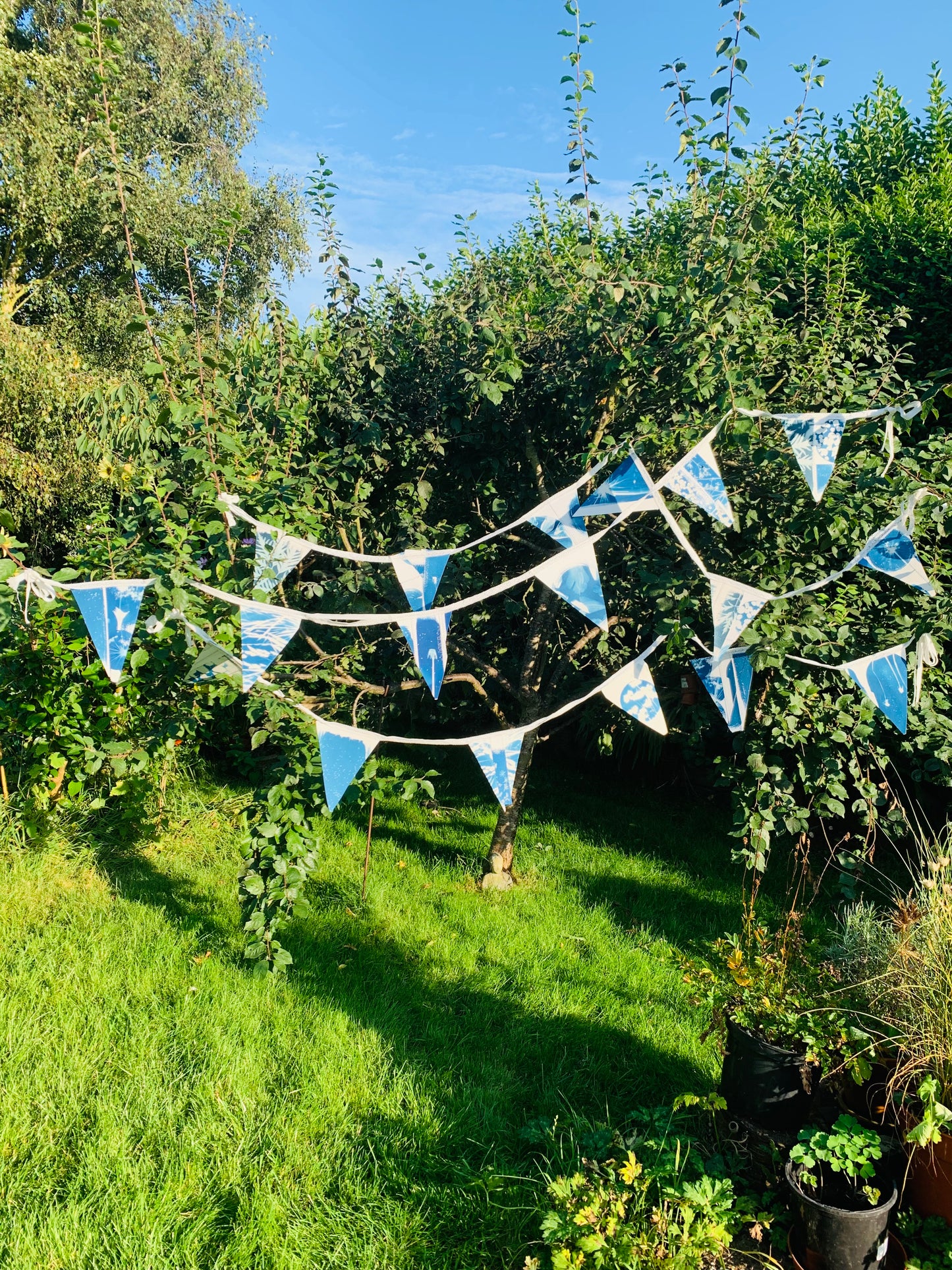 Cyanotype Bunting - Set 2