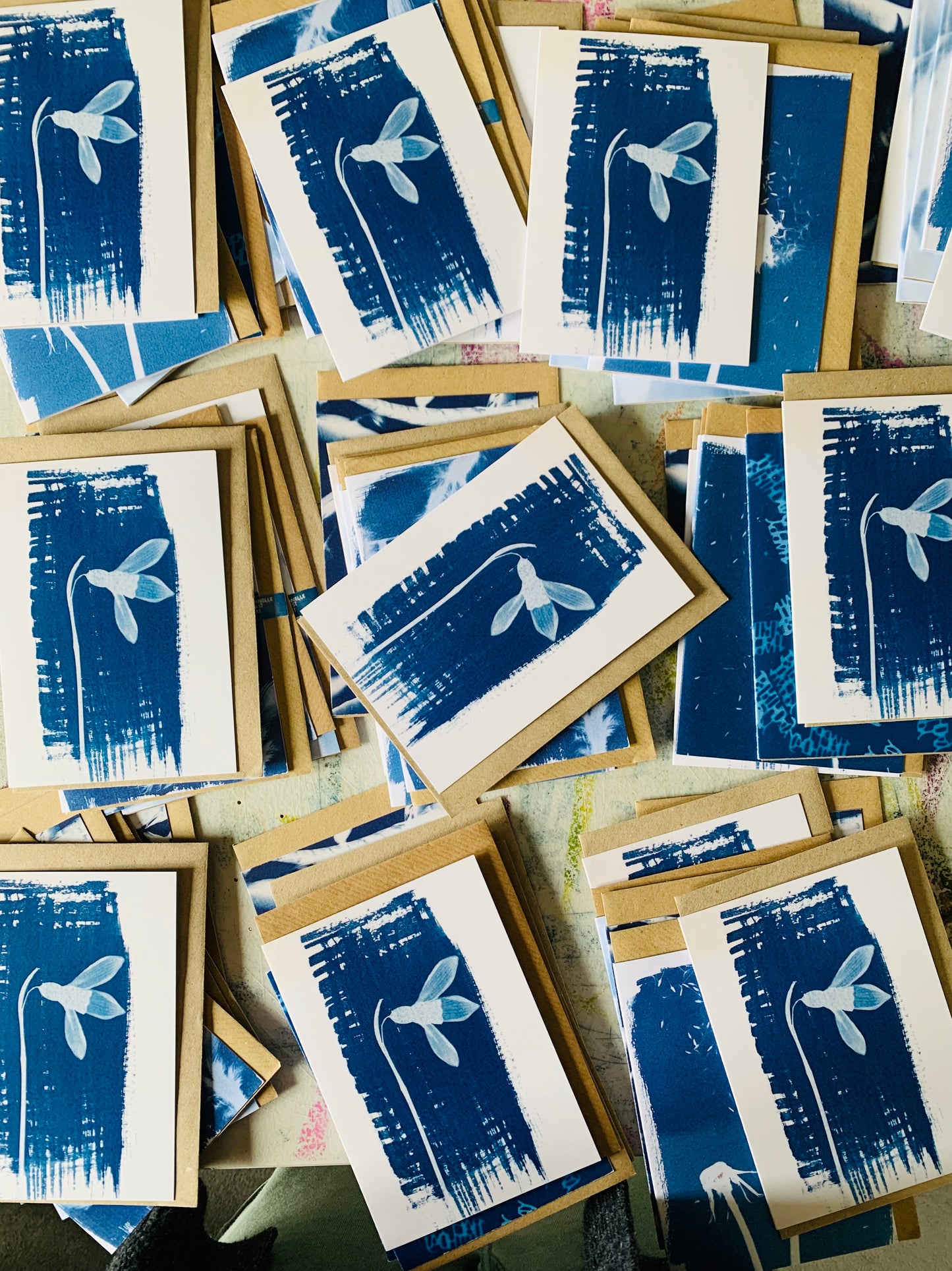 Pack of 6 Lucky Dip Cyanotype Cards