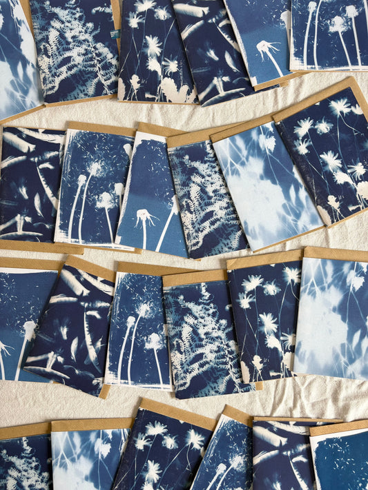 Pack of 6 Lucky Dip Cyanotype Cards