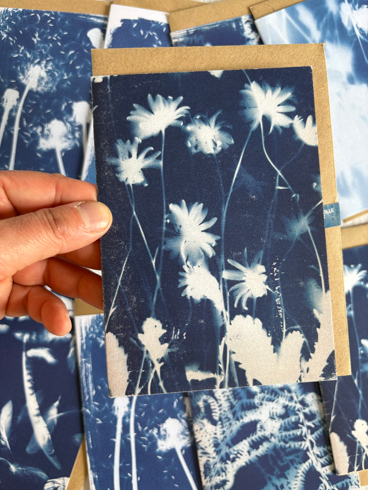 Pack of 8 Lucky Dip Cyanotype Cards