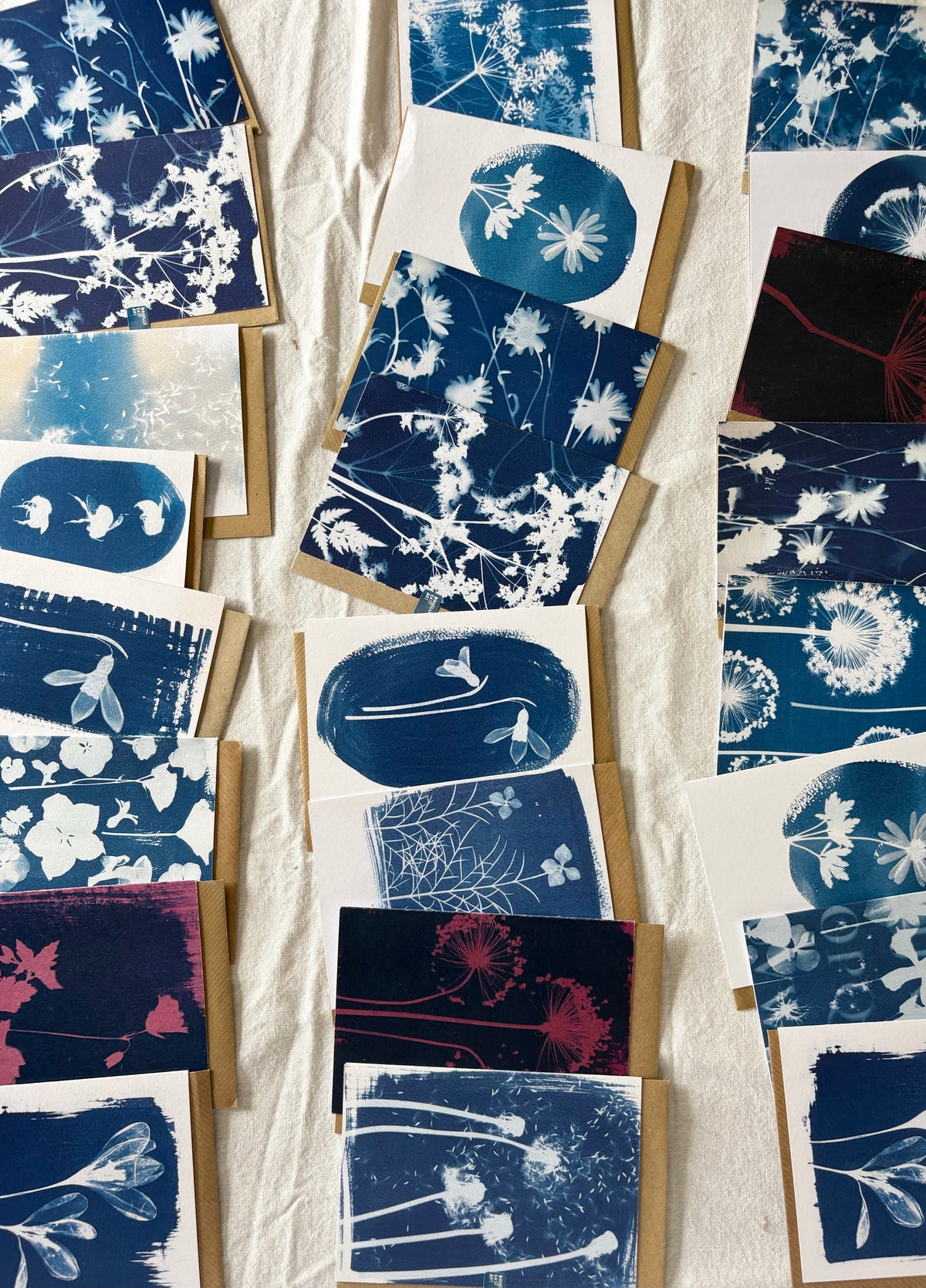 Pack of 8 Lucky Dip Cyanotype Cards
