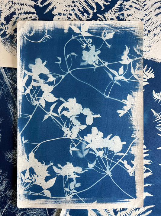 Clematis  (15x22") Original Print