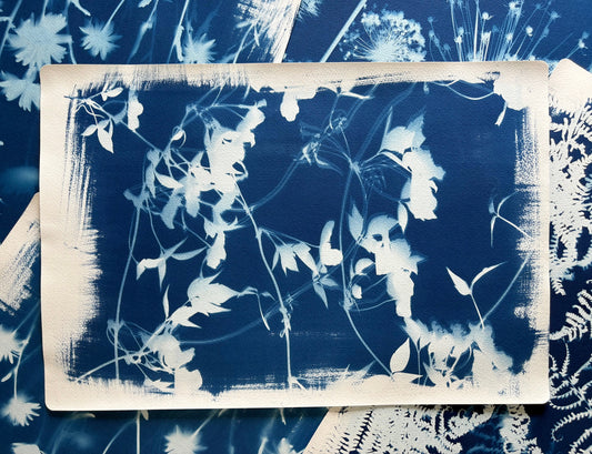 Clematis Double (15x22") Original Print