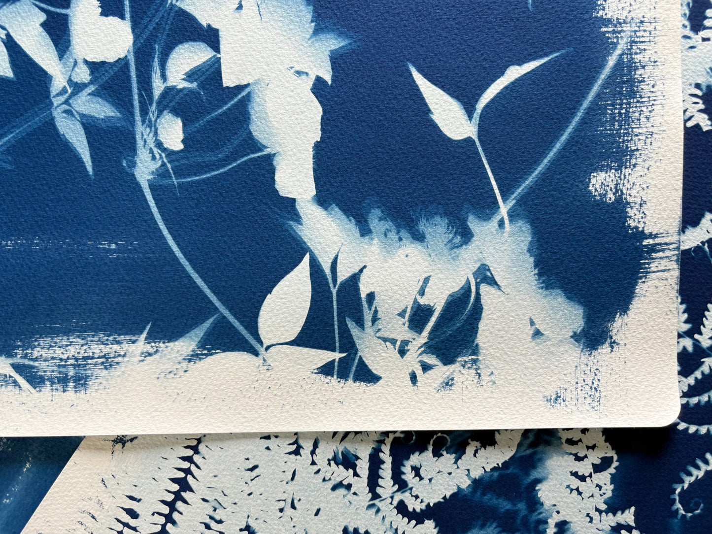 Clematis Double (15x22") Original Print