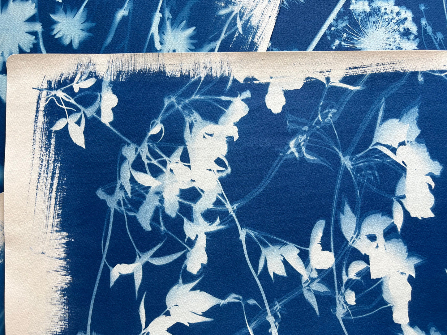 Clematis Double (15x22") Original Print