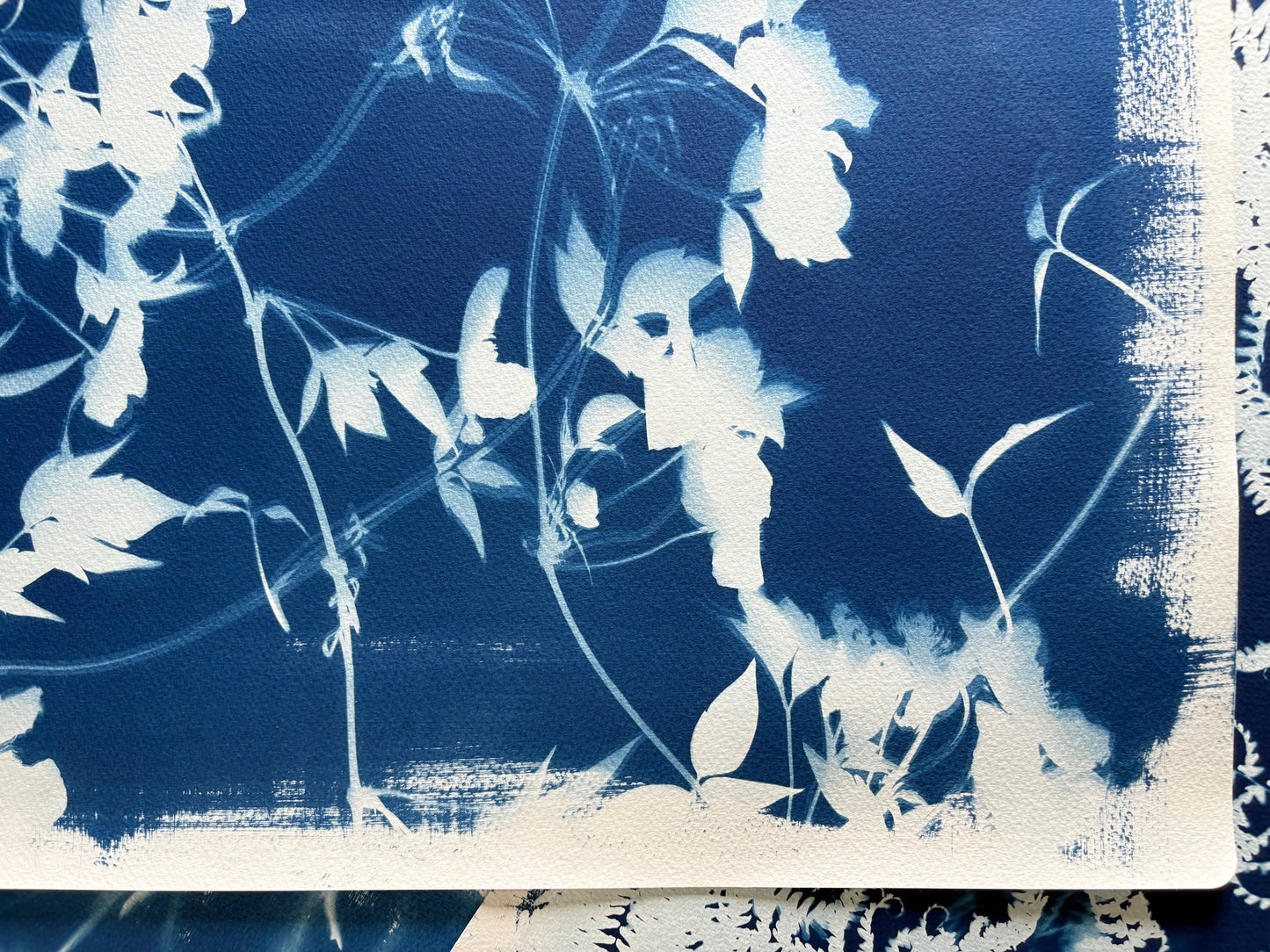 Clematis Double (15x22") Original Print