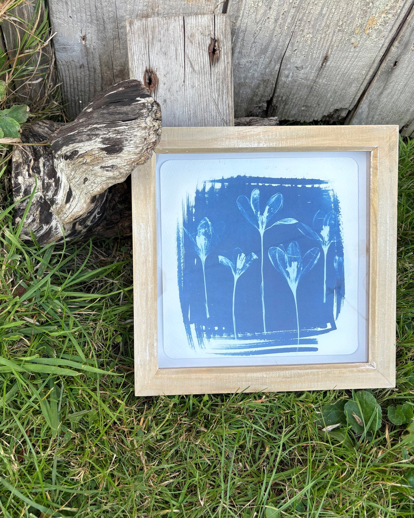 Crocus 5 - wood washed square glass box frame