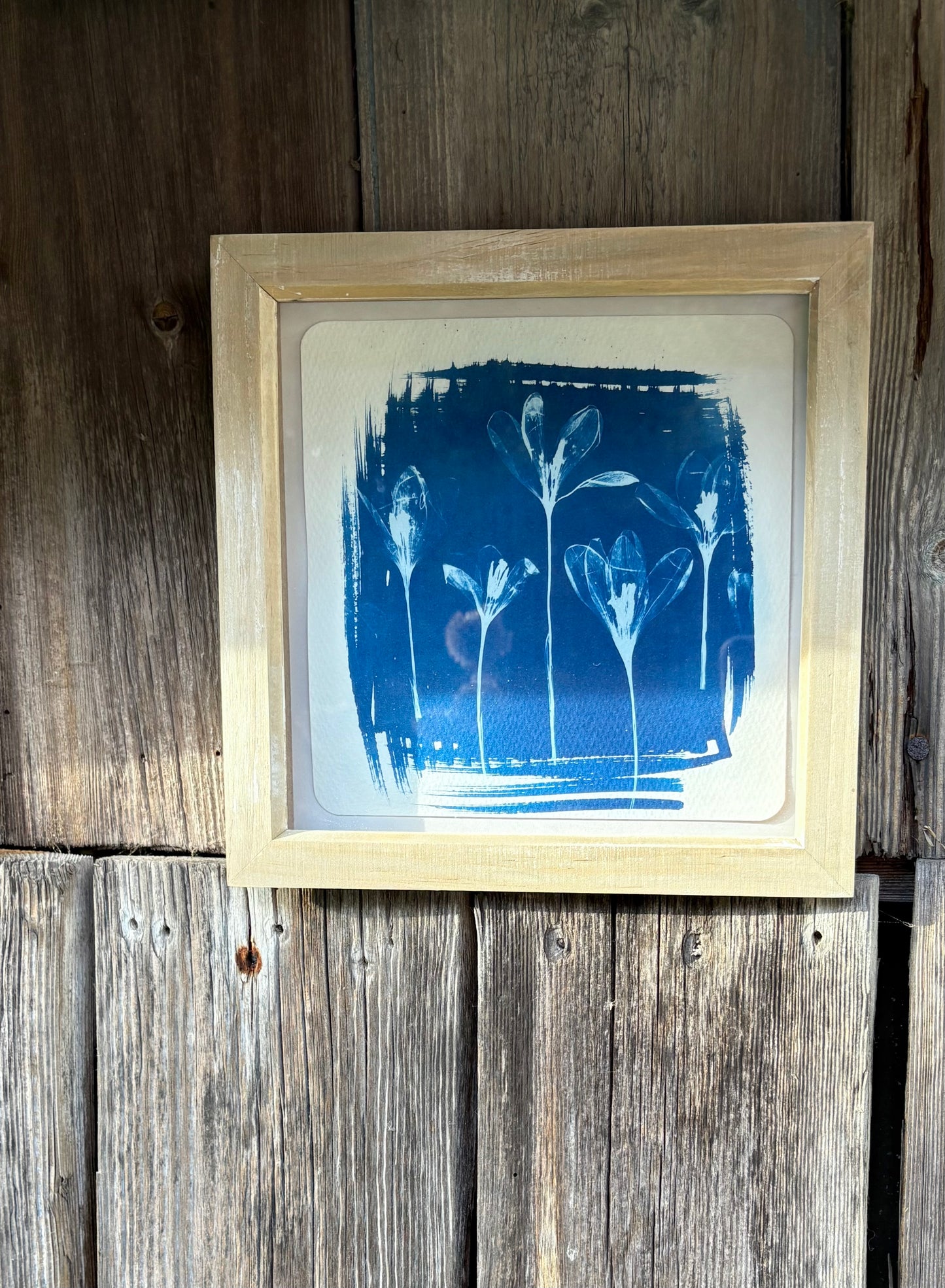 Crocus 5 - wood washed square glass box frame