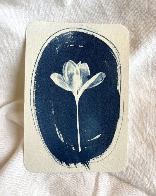 Crocus Oval 14 x 9.5cm - Original Print