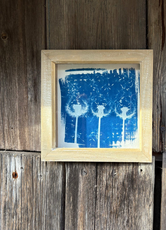 Dandelion 3 - wood washed square glass box frame