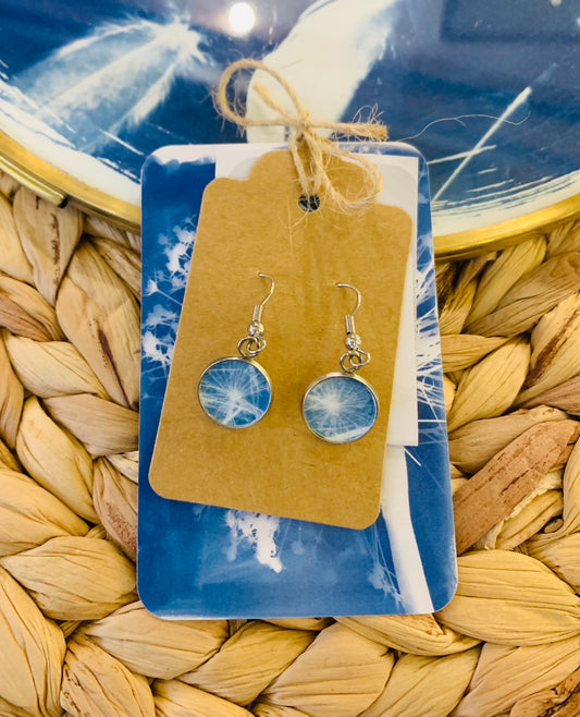 Dandelion (round fluff) seed original cyanotype print in tray of dangly stainless steel earring