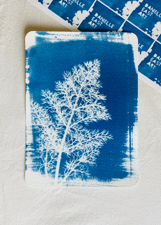 Fennel (14x19cm) Original Cyanotype Print