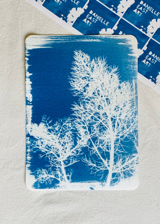 Fennel Stems (14x19cm) Original Cyanotype Print