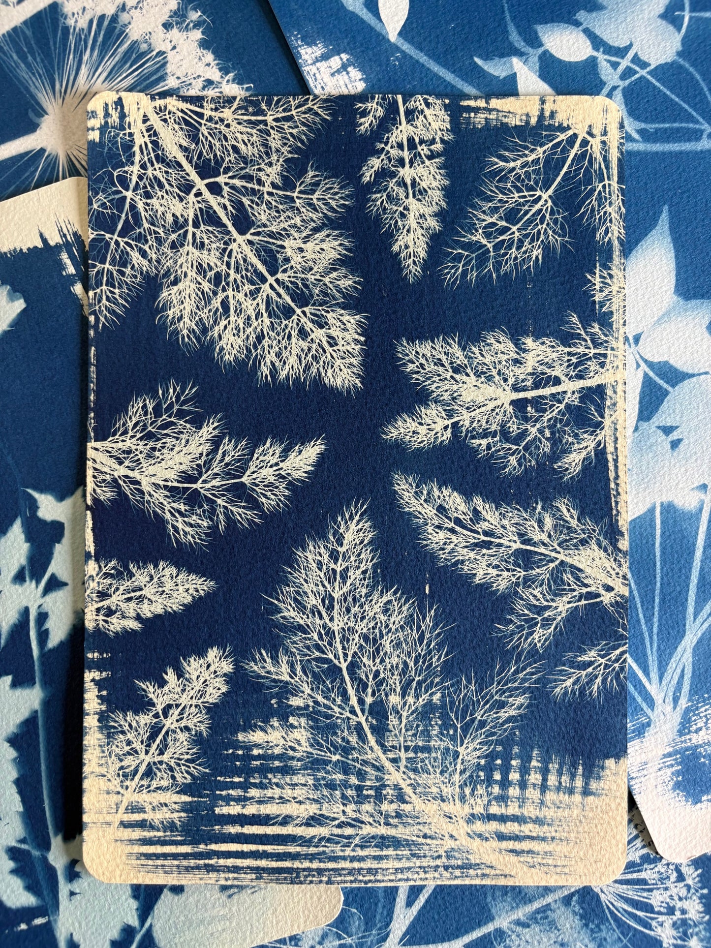 Fennel Leaves-cream coloured watercolour paper - 19x28cm - Original Print