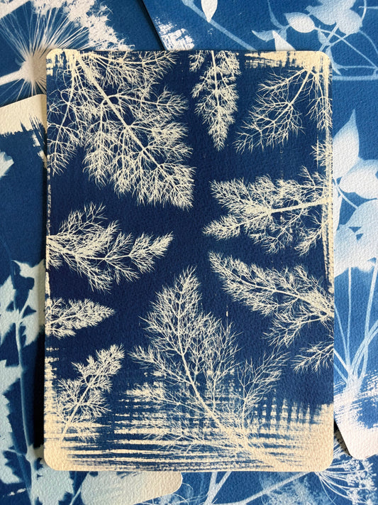 Fennel Leaves-cream coloured watercolour paper - 19x28cm - Original Print