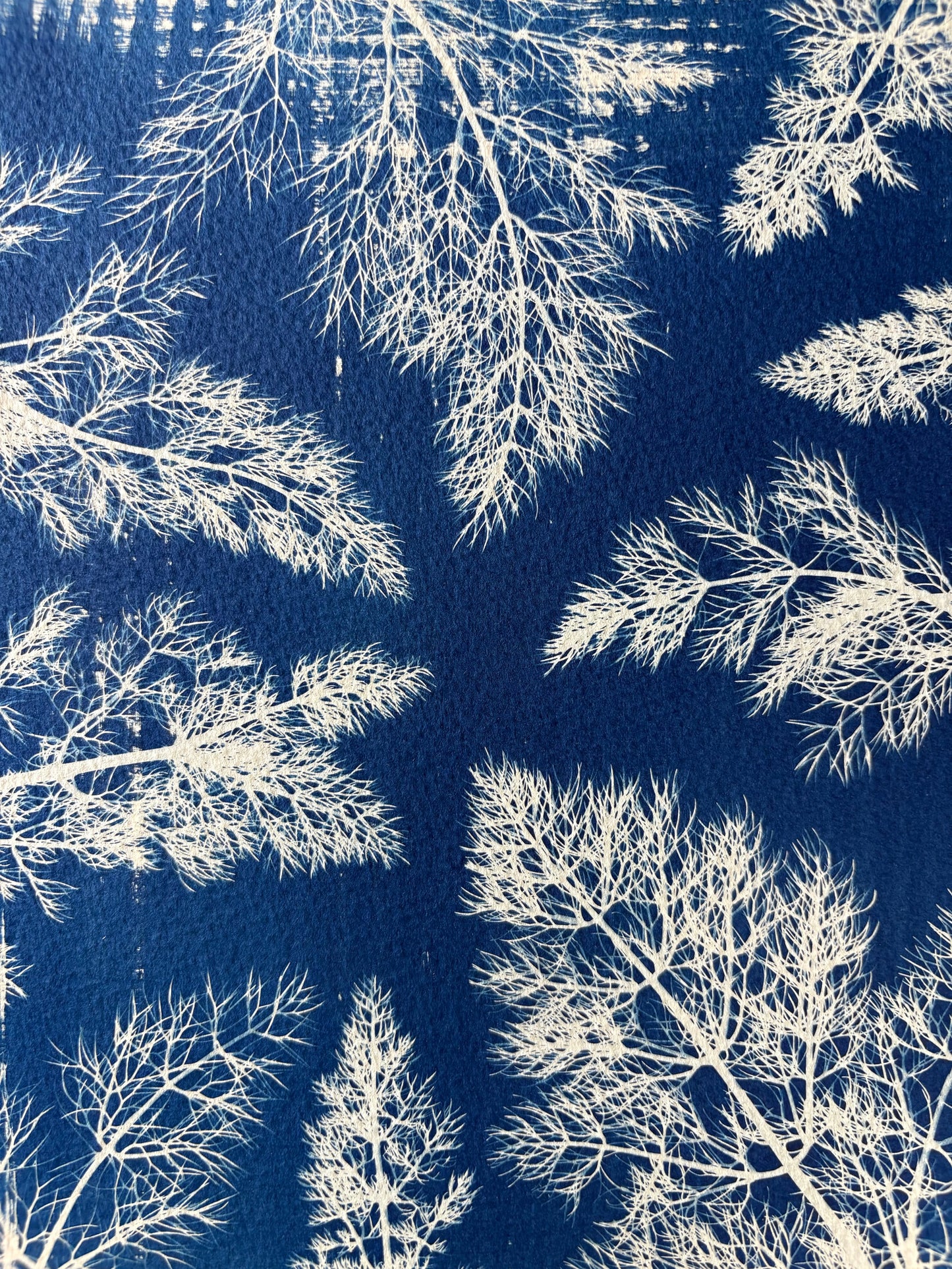 Fennel Leaves-cream coloured watercolour paper - 19x28cm - Original Print