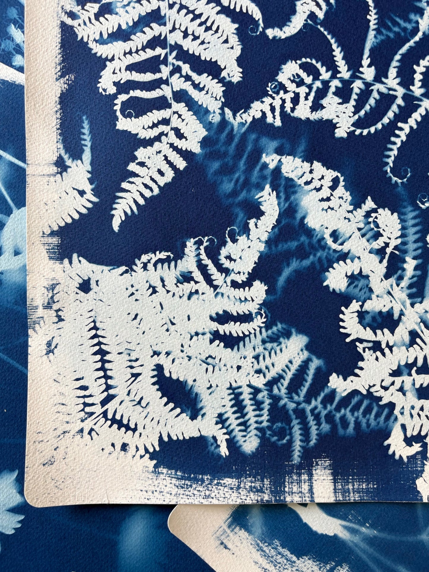 Ferns (15x22") Original Print