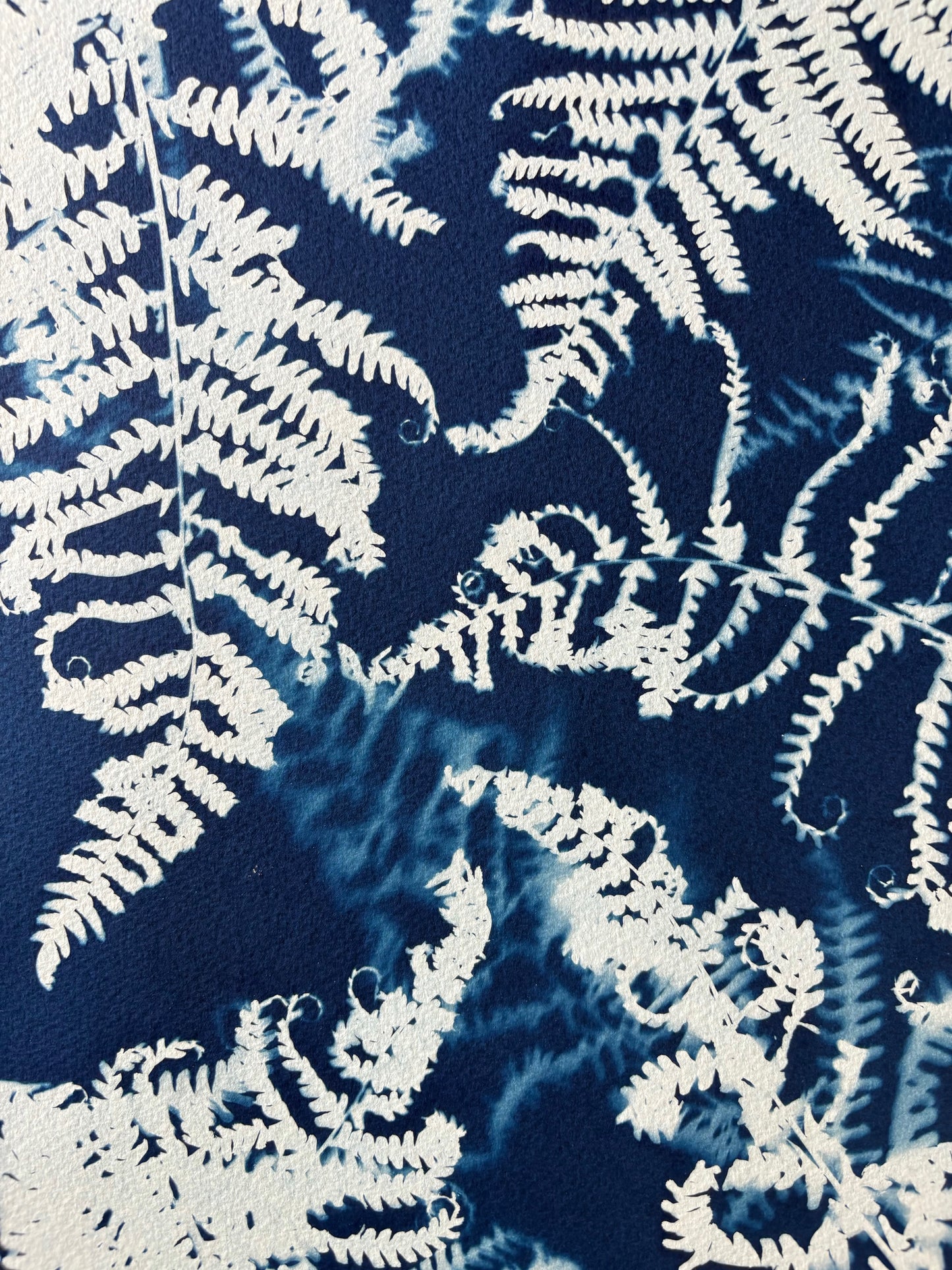 Ferns (15x22") Original Print