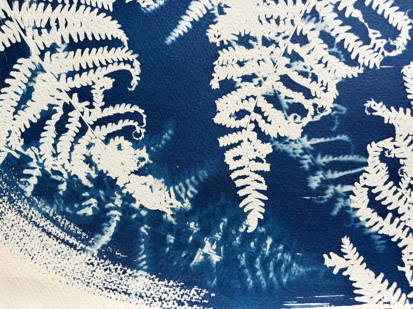 Fern Oval (15x22") Original Print