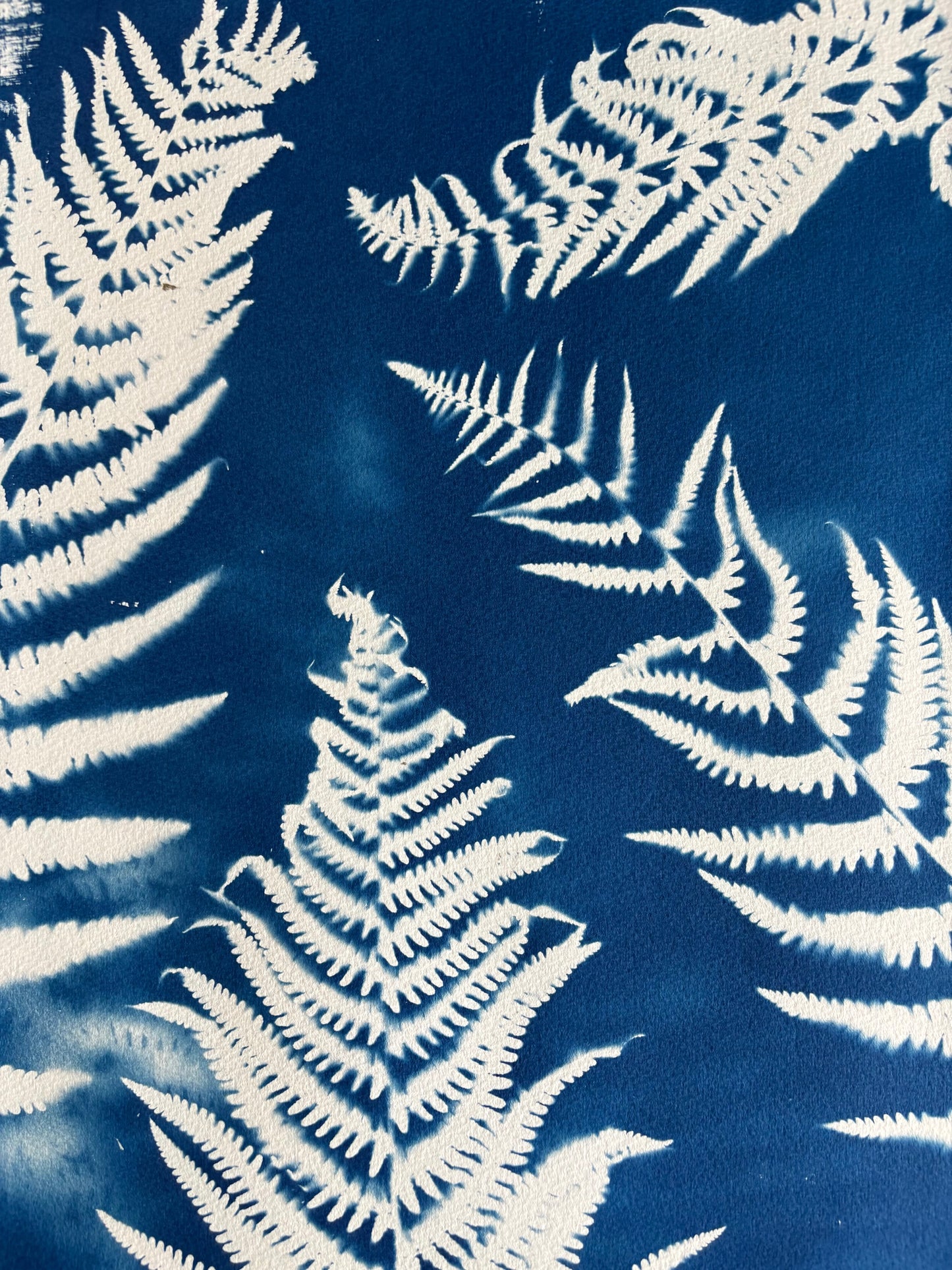 Fronds (15x22") Original Print