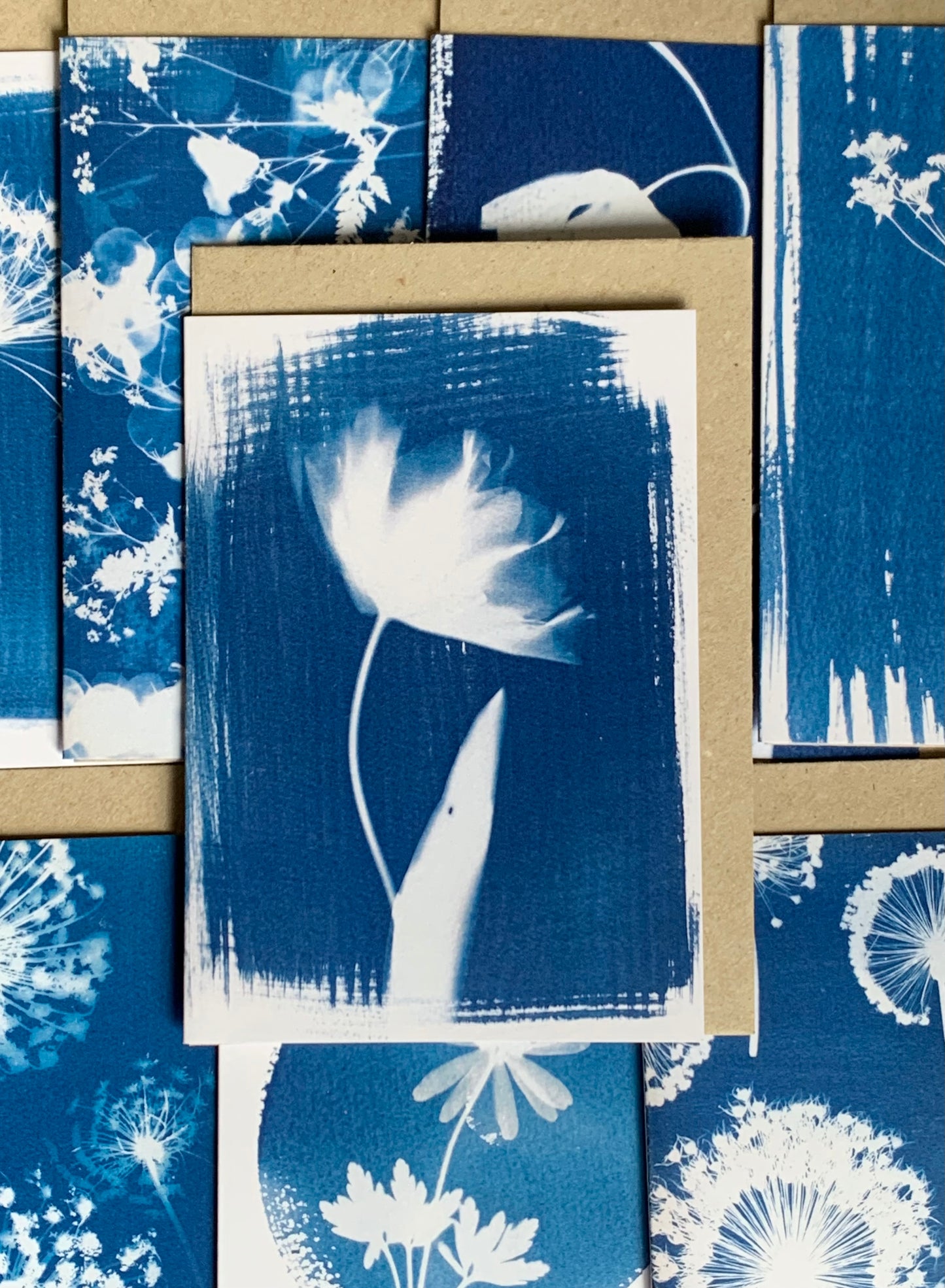 Frilly Tulip Cyanotype Blank Greetings card from Danielle East ART