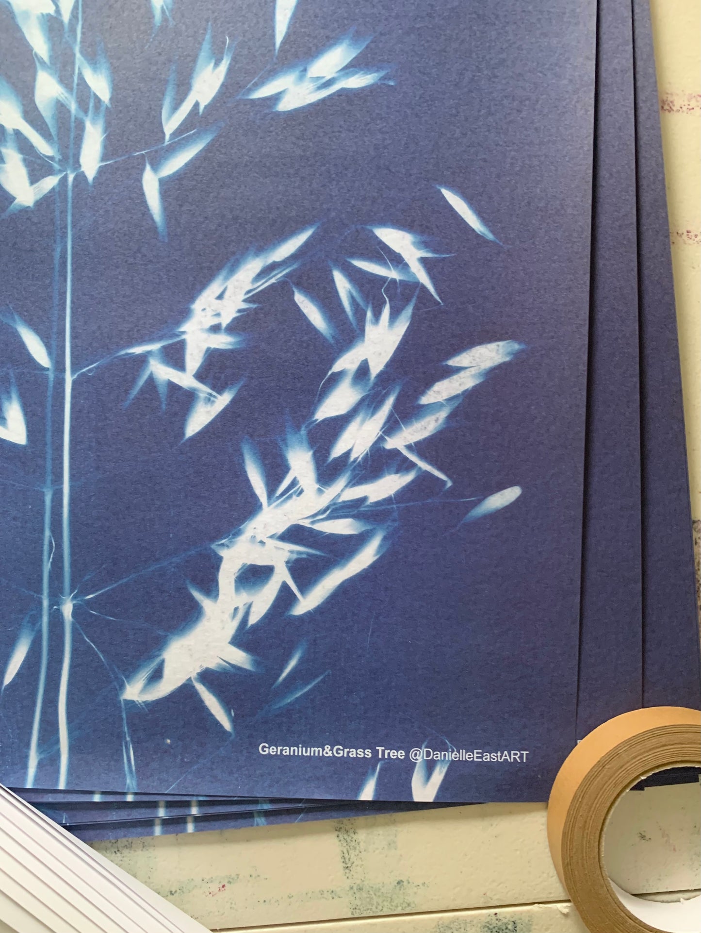 Geranium & Grass Tree- Cyanotype - Gift Wrap