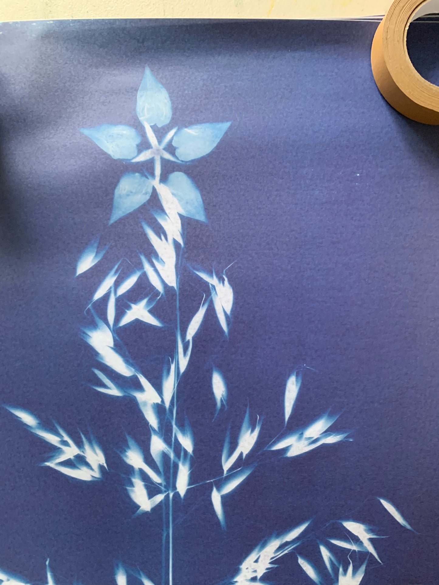 Geranium & Grass Tree- Cyanotype - Gift Wrap