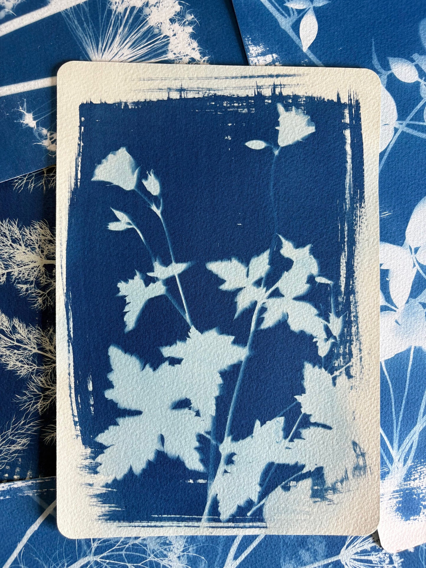 Geraniums 19x28cm - Original Print