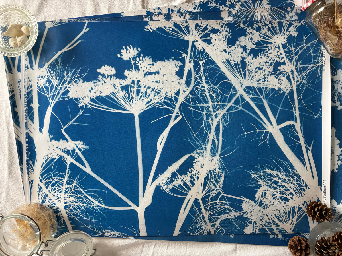 Fennel - Cyanotype - Gift Wrap