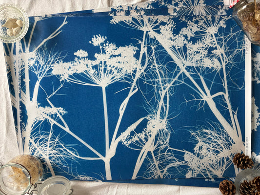 Fennel - Cyanotype - Gift Wrap