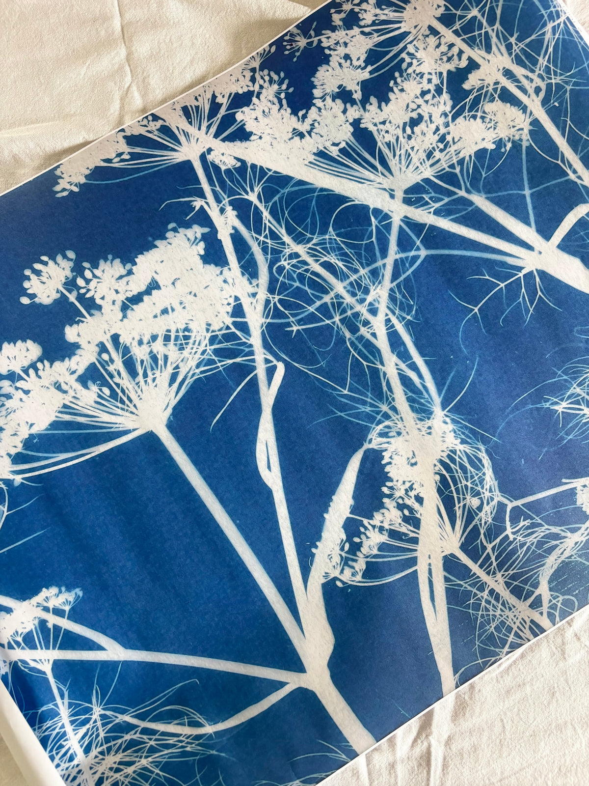 6 sheets of Gift Wrap - Lucky Dip