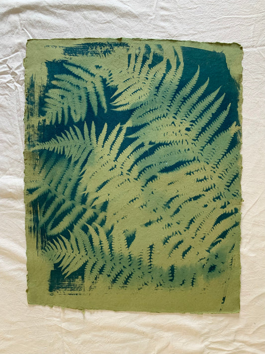 Green Ferns (40x52cm) Original Print