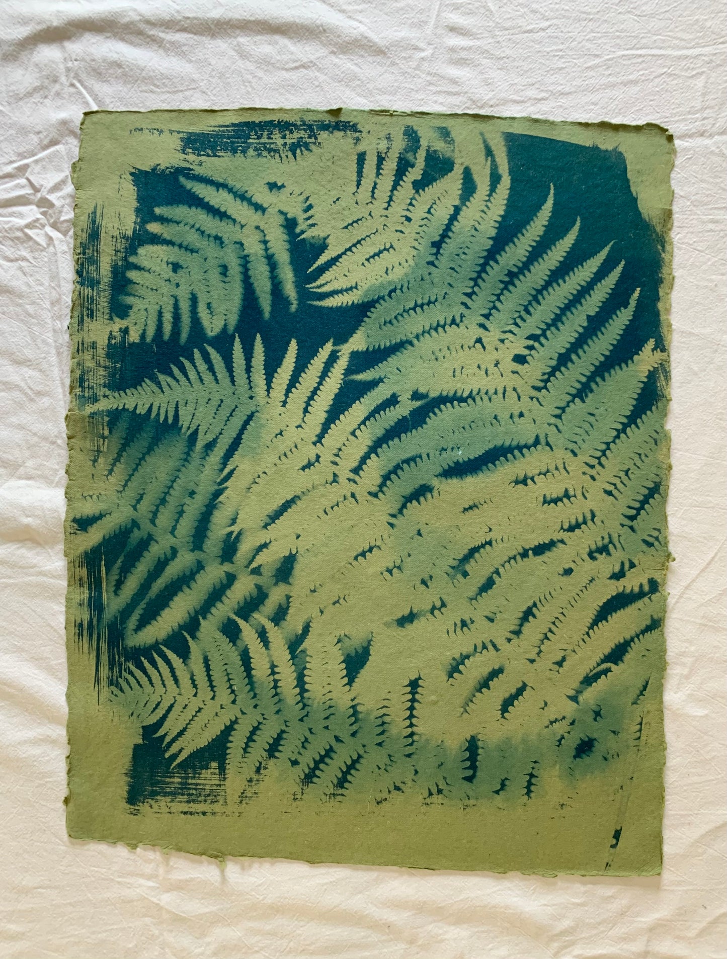 Green Ferns (40x52cm) Original Print