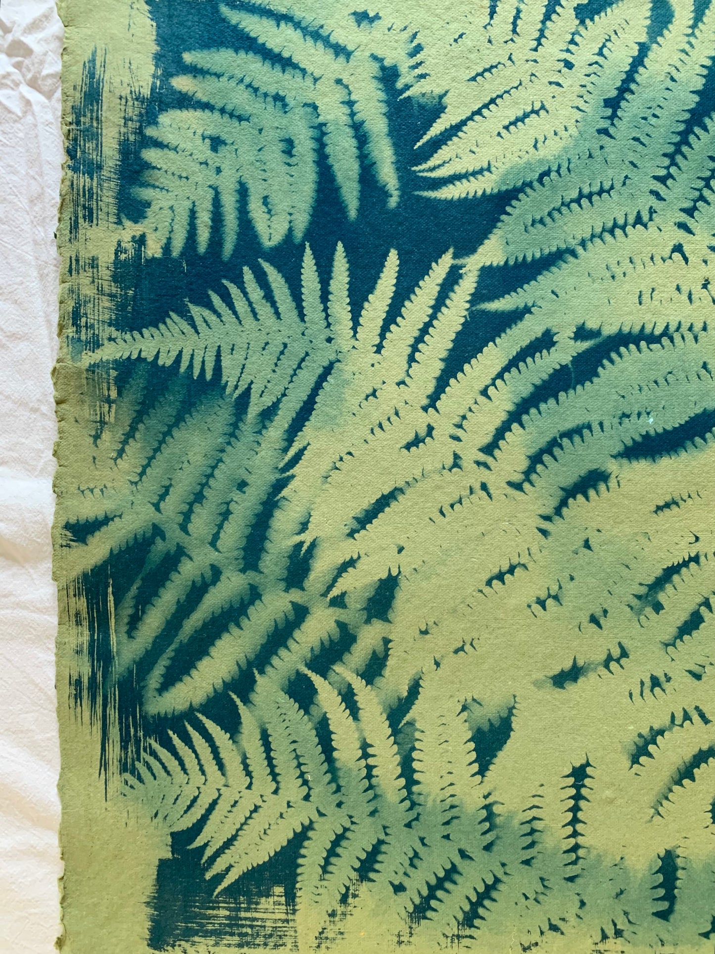 Green Ferns (40x52cm) Original Print