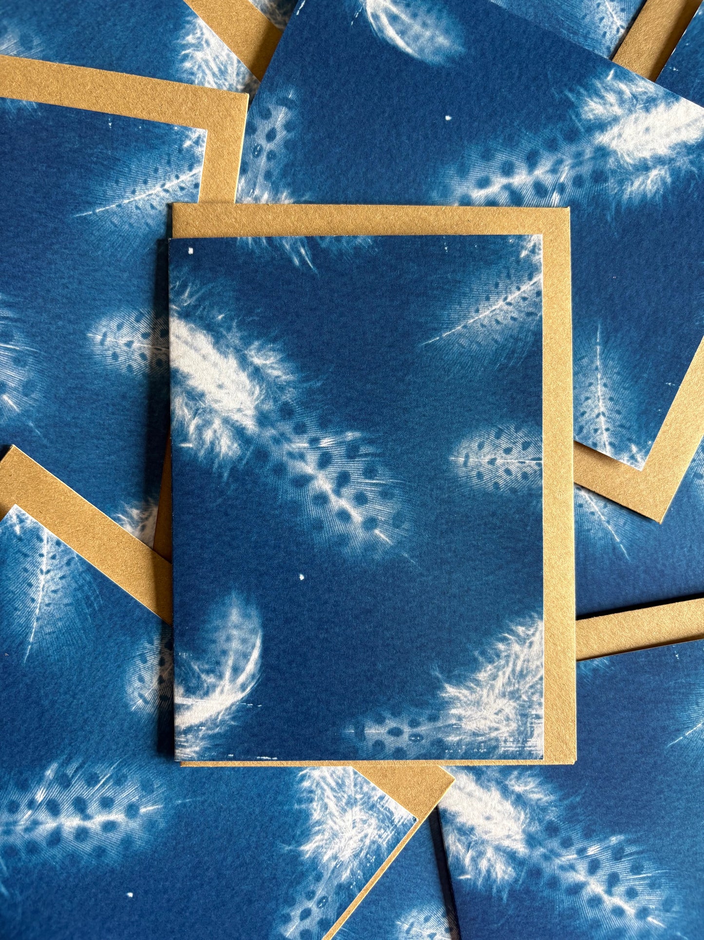 Guinea Fowl Feathers - Cyanotype - Blank Card