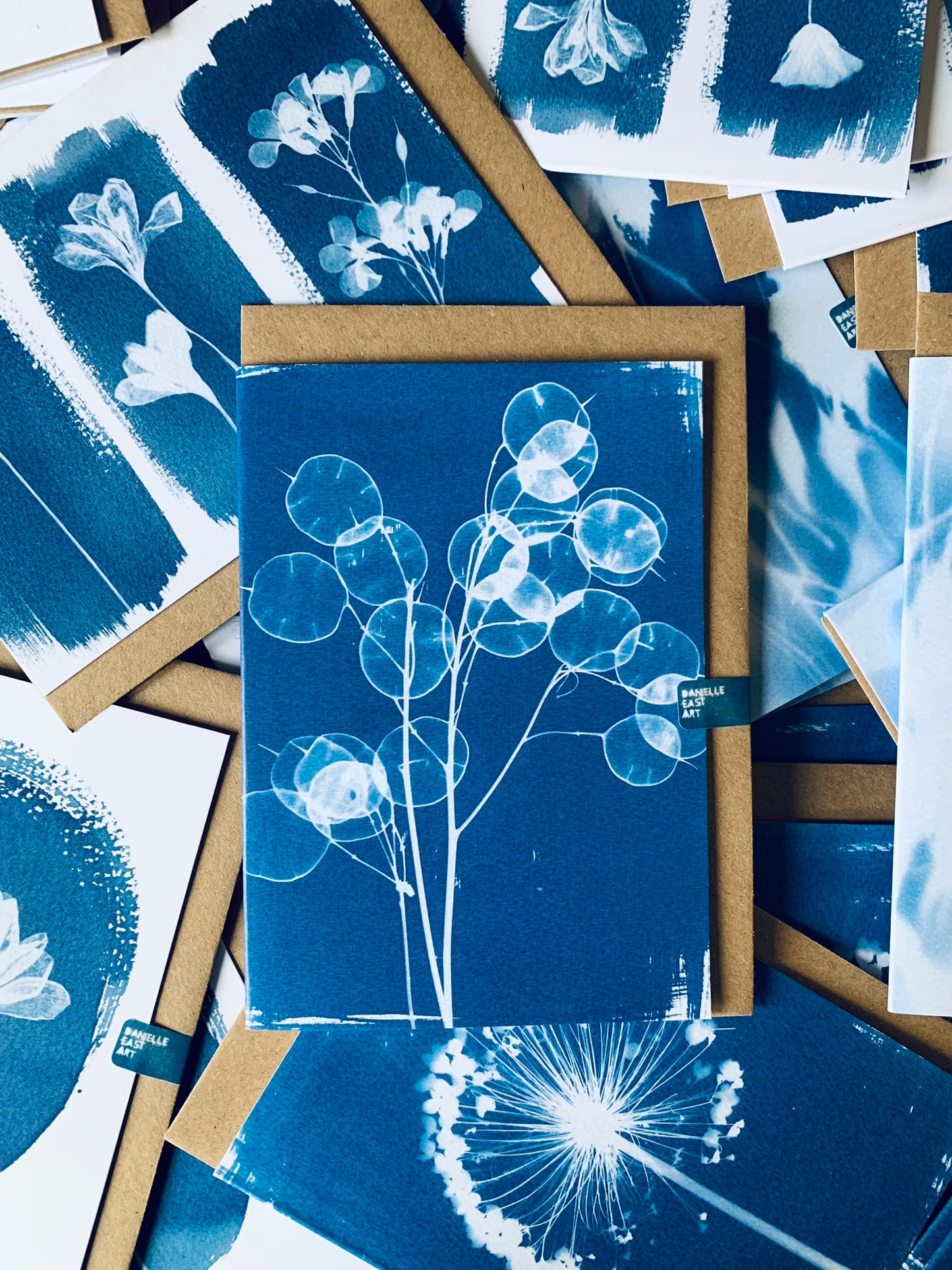 Honesty Cyanotype Greeting card of a dried honesty stem