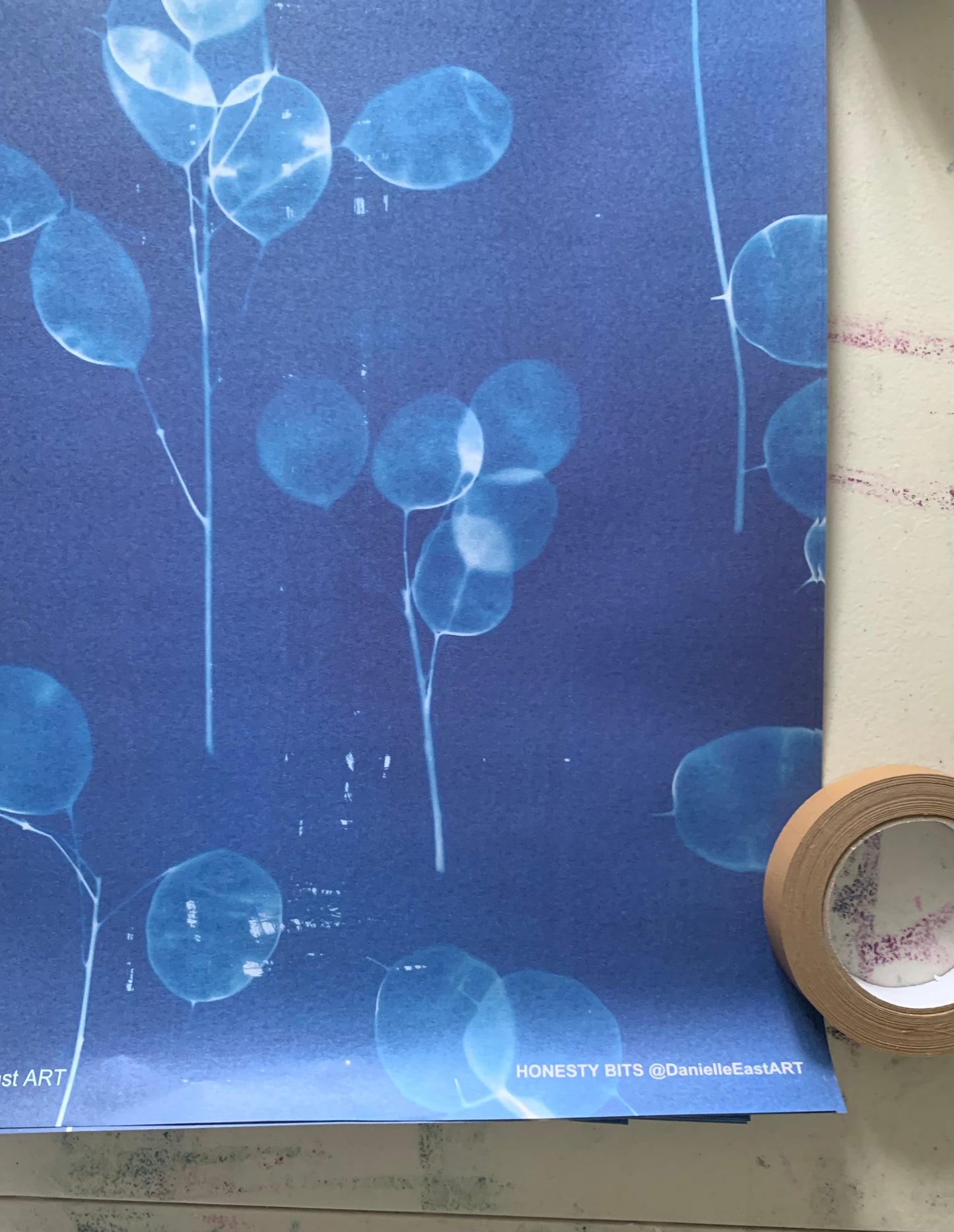 Honesty Bits - Cyanotype - Gift Wrap