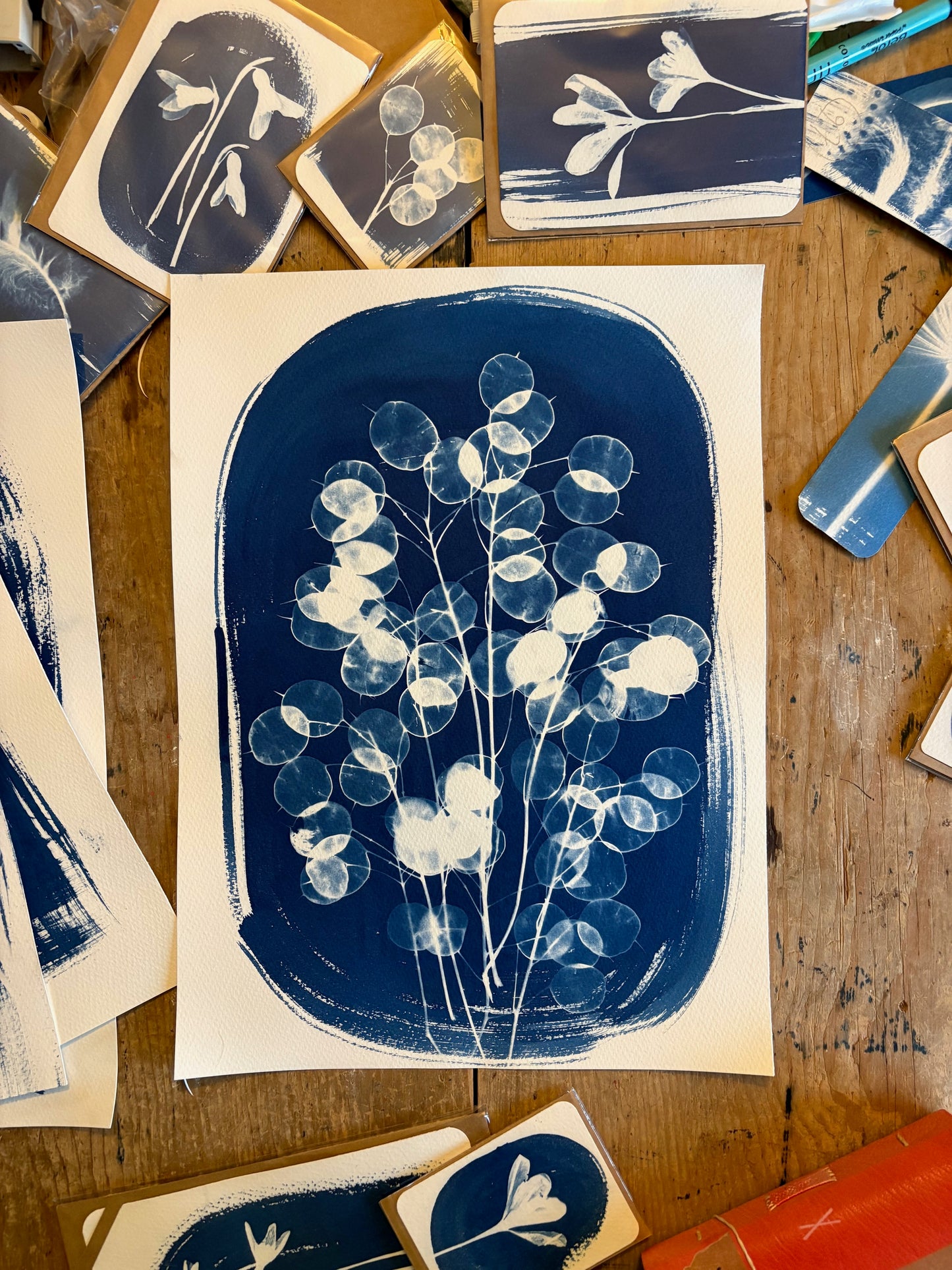 Honesty Oval 38x28cm Original Cyanotype Print